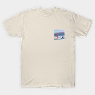 Birds and UFOs T-Shirt